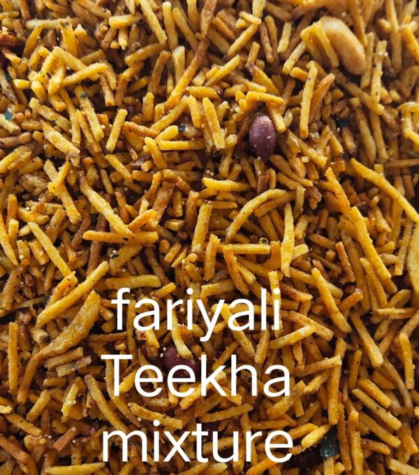 FALAHARI TEEKHA MIXTURE